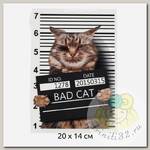 Термотрансфер арт.TBY.1320 Bad Cat 20х14см, уп.10шт