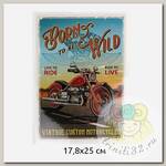 Термотрансфер арт.TBY.1282 Born to be wild 17,8х25см,  уп.2шт